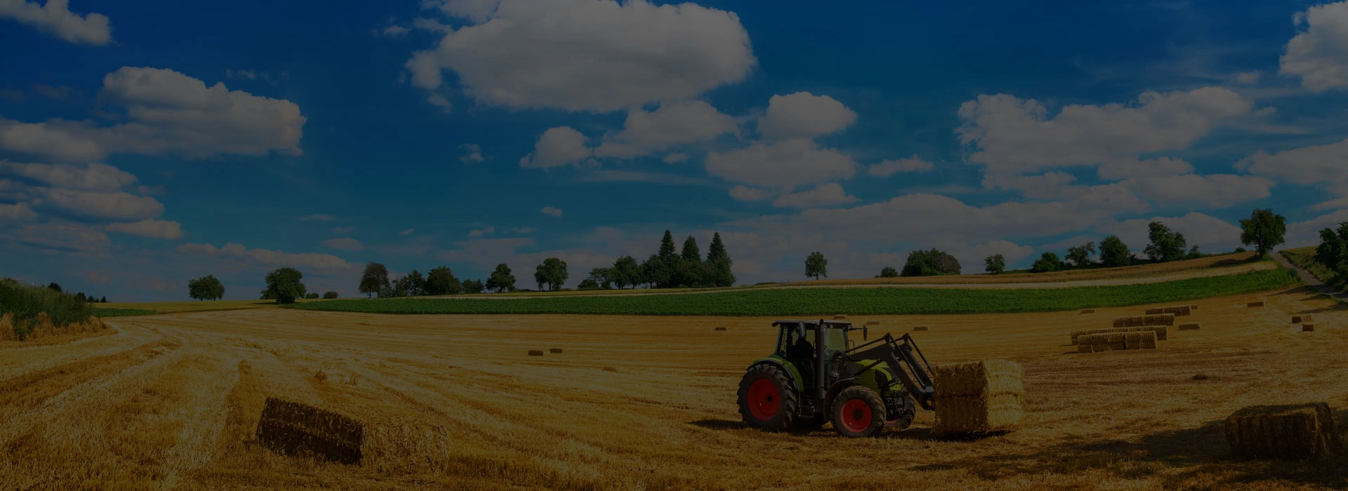 Une-agriculture-à-ciel-ouvert